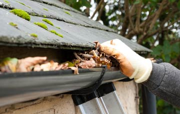 gutter cleaning Lymiecleuch, Scottish Borders