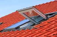 Lymiecleuch roof window