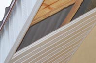 rated Lymiecleuch soffit repair companies